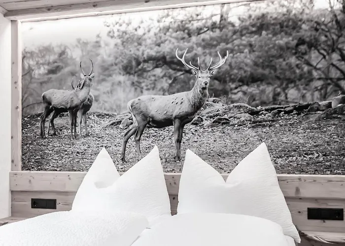 Holiday home Casa De Wisa *